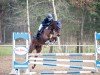 jumper Capri Sun 9 (Hanoverian, 2020, from Charthago Blue OLD)