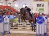 jumper Dornfelder H (Oldenburg show jumper, 2016, from Darshan)