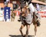 jumper Power Bausa (KWPN (Royal Dutch Sporthorse), 2016, from Gaillard de La Pomme)