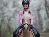 Dressurpferd La Chicco (Welsh Pony (Sek.B), 2010, von Largo)