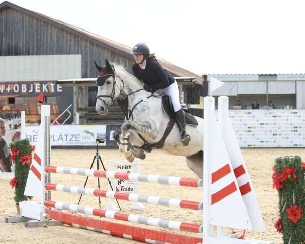 jumper Dakota S 5 (Hanoverian, 2015, from Diacontinus)