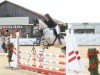 jumper Dakota S 5 (Hanoverian, 2015, from Diacontinus)