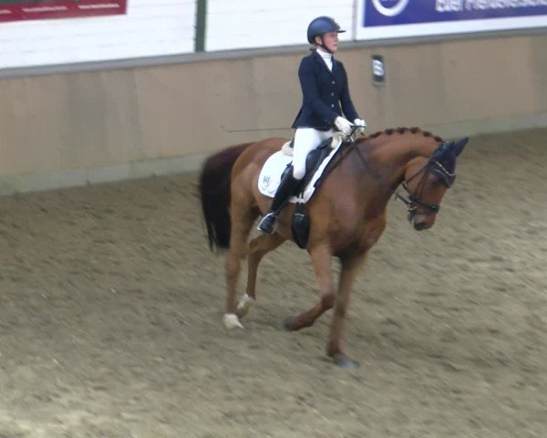 Reitturnier Rhede 2025