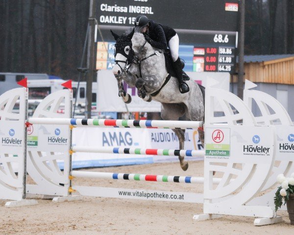 jumper OAKLEY (Oldenburg show jumper, 2017, from Ogano Sitte)