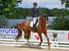 dressage horse Rita Ora (Rhinelander, 2013, from Rational 2)