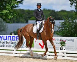 dressage horse Rita Ora (Rhinelander, 2013, from Rational 2)