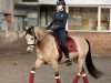 dressage horse Crixus 6 (German Riding Pony, 2016, from Carun Blue Eyes)