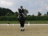 dressage horse All Inclusive 17 (Oldenburg, 2017, from Asgard's Ibiza)