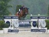 jumper C.Lest Best VDL Z (Zangersheide riding horse, 2016, from VDL Cardento 933)