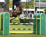 jumper Chicago's Boy (Holsteiner, 2009, from Carrico)