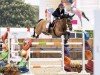 jumper I. Am Jordan (KWPN (Royal Dutch Sporthorse), 2013, from Air Jordan Z)