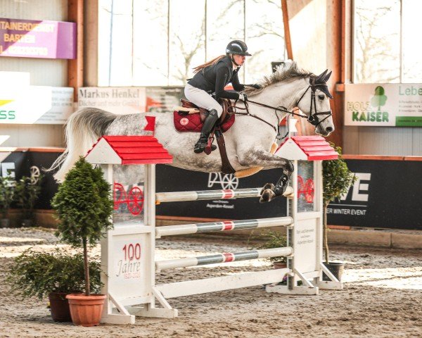 jumper Sky Emotion (Oldenburg show jumper, 2017, from Stakkatol)