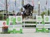 jumper Ricard van het Dennehof (Belgian Warmblood, 2017, from Diamant de Semilly)