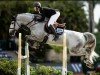 jumper Fighting Phil (Zangersheide riding horse, 2017, from Cornet Obolensky)
