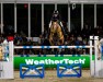 jumper Ingmar (KWPN (Royal Dutch Sporthorse), 2013, from Gaillard de La Pomme)