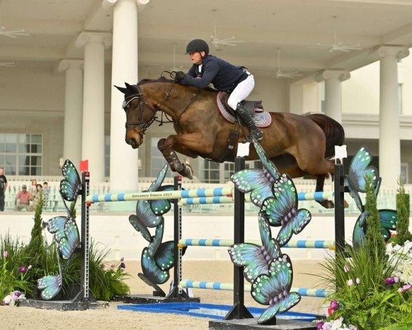 Springpferd Garrincha van de Kalevallei (Belgium Sporthorse, 2012, von Plot Blue)