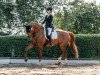 dressage horse Lia la Vita 3 (Hanoverian, 2014, from Livaldon)