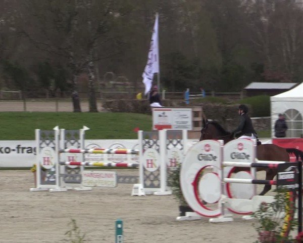 Reitturnier Westergellersen 2025