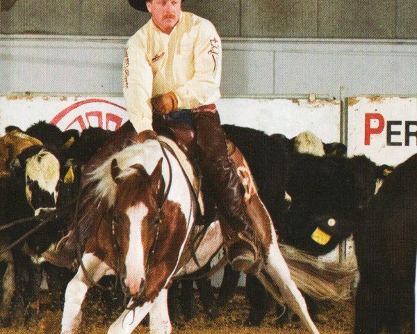 horse Cat Prints (Quarter Horse, 2001, from High Brow Cat)