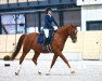 dressage horse Waracho CH (Swiss Warmblood, 2005, from Weltfeuer)