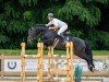 stallion Nanthago R-E (KWPN (Royal Dutch Sporthorse), 2018, from Comthago VDL)