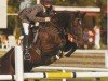 broodmare Lara H.R. (Hanoverian, 1998, from Landclassic)