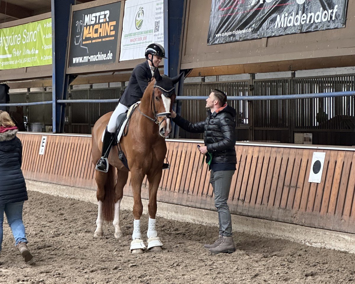 dressage horse Showdown BR (Hanoverian, 2020, from Sezuan)