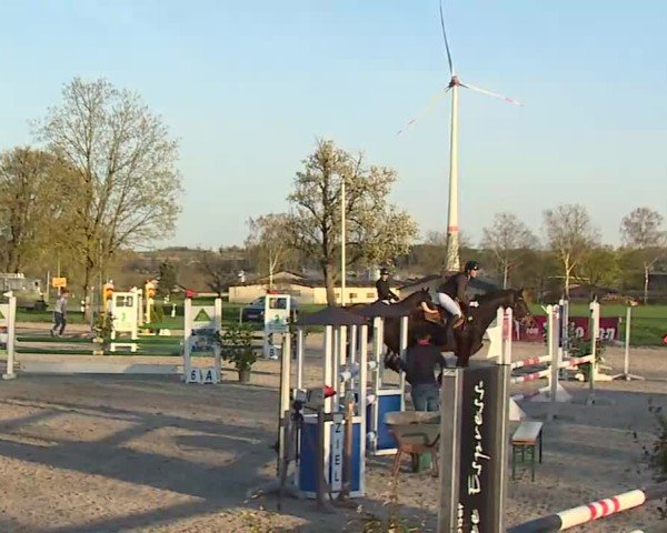 Reitturnier Rot am See- Musdorf 2025