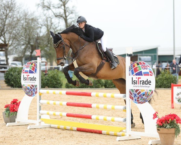 jumper Gallia Dancer (Selle Français, 2016, from Adzaro de l'Abbaye)