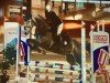 jumper Dembelea (Westphalian, 2019, from Dembelé L)