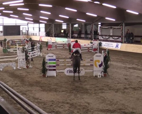 21. Großes Hallen-Springturnier 2013 - Alt Marl