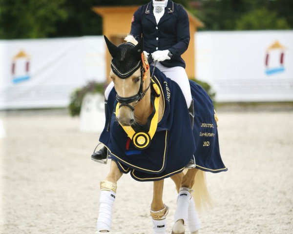 dressage horse Deep Love C (German Riding Pony, 2018, from Dating At NRW)