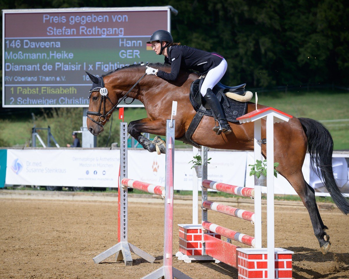 jumper Daveena (Hanoverian, 2018, from Diamant de Plaisir)