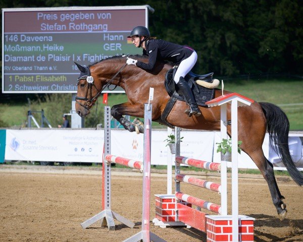 Springpferd Daveena (Hannoveraner, 2018, von Diamant de Plaisir)