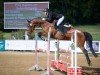 jumper Daveena (Hanoverian, 2018, from Diamant de Plaisir)