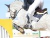 jumper Graf Glueck 3 (Hanoverian, 2013, from Graf Top)
