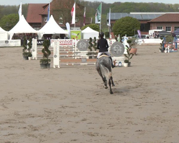 Lenklarer Reitertage Werne 2025