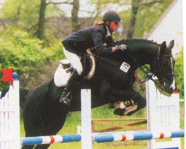 dressage horse Picola (Oldenburg, 1998, from Pinatubo)