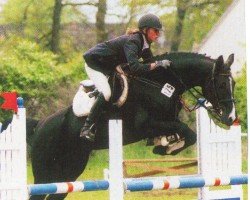 dressage horse Picola (Oldenburg, 1998, from Pinatubo)