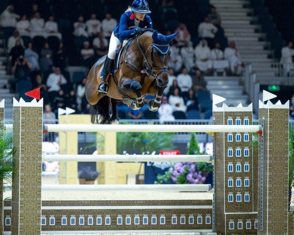 jumper I-Cap CL Z (Zangersheide riding horse, 2012, from I'm Special de Muze)