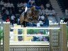 jumper I-Cap CL Z (Zangersheide riding horse, 2012, from I'm Special de Muze)