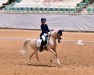 stallion Nacro's Dancer (German Riding Pony, 2008, from Nacromancer in the dark)