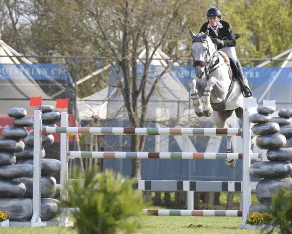 Springpferd Champ's Son (Holsteiner, 2008, von Cumano)