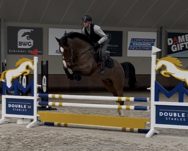 jumper Captain Crosewick (Westphalian, 2020, from Comme il Faut)