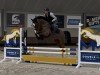 jumper Captain Crosewick (Westphalian, 2020, from Comme il Faut)