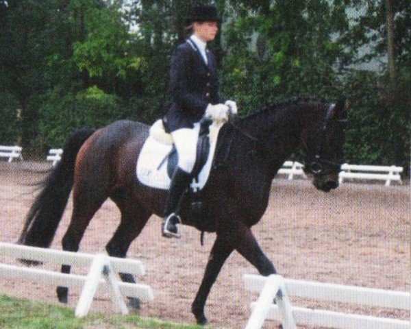 Pferd Fleur de Lys 16 (Sachsen-Anhaltiner, 2002, von Ferman)