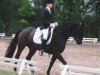 horse Fleur de Lys 16 (Saxony-Anhaltiner, 2002, from Ferman)