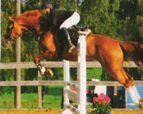 broodmare Gianna 120 (Westphalian, 2000, from Giradelli)