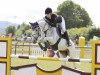 jumper Olympic Flame 2 (German Riding Pony, 1998, from Oweron)