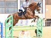 jumper Altana (German Sport Horse, 2017, from Lewinski)